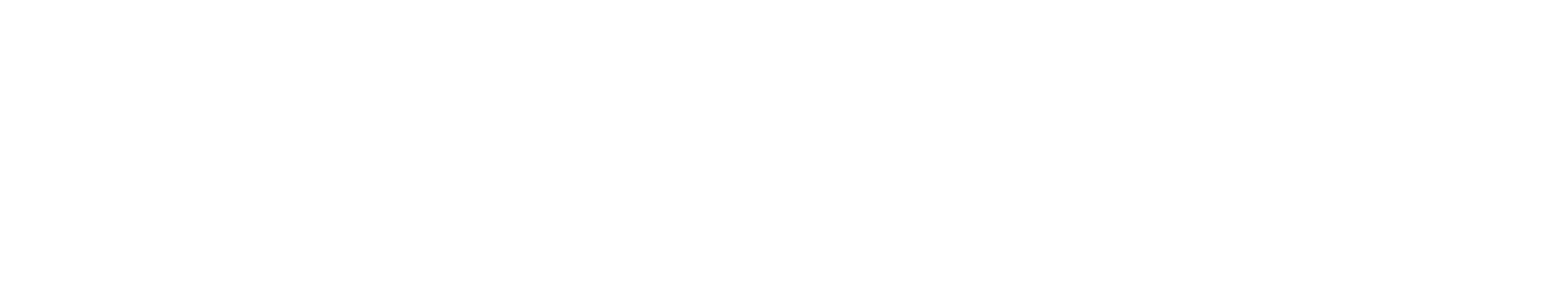 ProfitACC 365 ERP